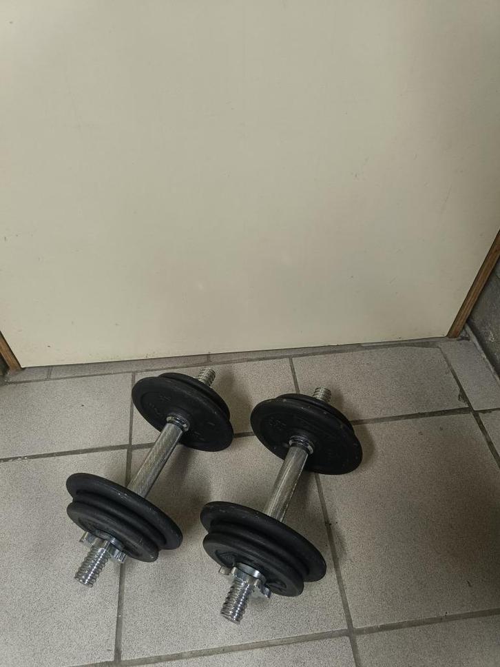 Metalen dumbbellset 20 kg, Sport en Fitness, Fitnessmaterialen, Gebruikt, Dumbbell, Armen, Ophalen