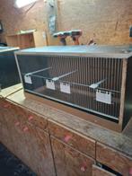 Nieuw vogelkooi, Ophalen, Nieuw, Hout, Vogelkooi