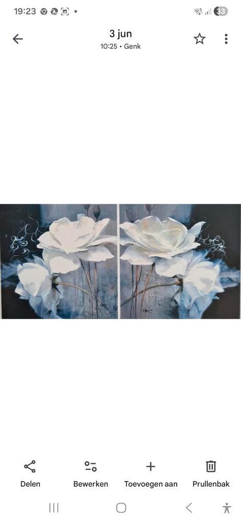 Witte klaprozen (een pendant), Antiek en Kunst, Kunst | Schilderijen | Modern, Verzenden