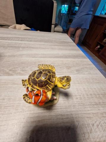 schildpad met nemo, Enlèvement