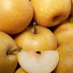 ARBRES NASHI (Melon Poire/Poire Asiatique): BASSE TIGE 17€/p, Jardin & Terrasse, Plantes | Arbres fruitiers, En pot, Printemps