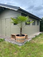 Authentieke & Gebleekte Wijnvaten - Regenton - Decoratie, 150 liter of meer, Ophalen, Gebruikt, Hout