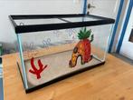 Klein aquarium uit glas (50x25cm) van het merk Jewel, Dieren en Toebehoren, Ophalen, Zo goed als nieuw