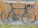 Sensa Romagna, 57 tot 61 cm, Ophalen