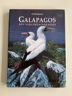 Galapagos, Het verloren paradijs, Peter Salwen Hardcover met, Livres, Nature, Utilisé, Enlèvement ou Envoi, Oiseaux