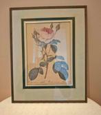 Lithografie Pierre-Joseph Redouté, Antiek en Kunst, Kunst | Litho's en Zeefdrukken, Ophalen