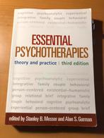 Essential psychotherapies - theory and practice, Boeken, Ophalen of Verzenden, Stanley B messer and alan S gurman, Zo goed als nieuw