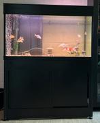 Aquarium zoet/zout leeg, Ophalen, Gebruikt, Leeg aquarium