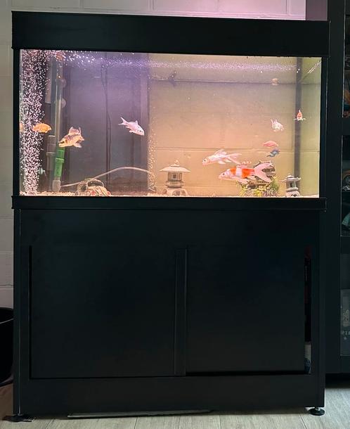 Aquarium zoet/zout leeg, Dieren en Toebehoren, Vissen | Aquaria en Toebehoren, Gebruikt, Leeg aquarium, Ophalen