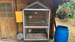2 kooien plus 1 nest blok, Ophalen, Gebruikt, Metaal, Vogelkooi
