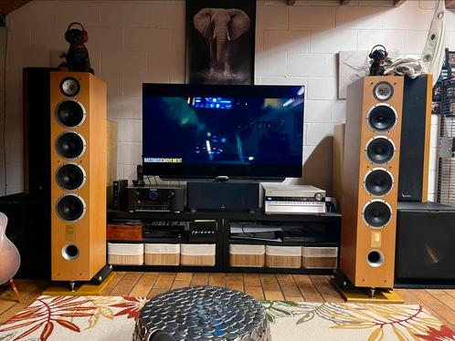 Triangle stratos 260 vlieg (6000 euro), Audio, Tv en Foto, Luidsprekerboxen, Zo goed als nieuw, Front, Rear of Stereo speakers