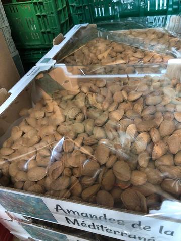 Amandes feragnes à coques tendres  disponible aux enchères