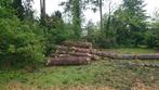 Brandhout stamhout Boomstammen, Tuin en Terras, Stammen, Ophalen, 6 m³ of meer, Overige houtsoorten