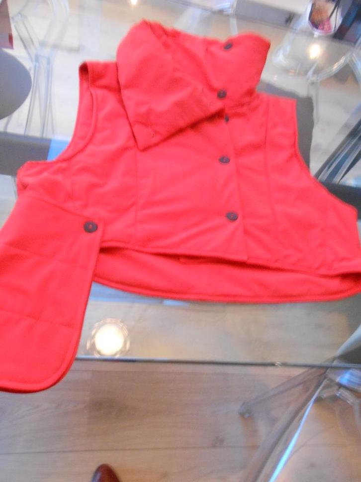 Sarah Pacini, Kleding | Dames, Truien en Vesten, Zo goed als nieuw, Rood, Ophalen of Verzenden