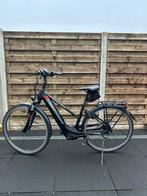 Prachtige Pegasus E-Bike 625w Bosch Performance !!, 51 tot 55 cm, Ophalen, Zo goed als nieuw, 50 km per accu of meer