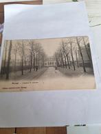 Beheer het St Antoine Institute 1907, Ophalen of Verzenden, Voor 1920, Gelopen, Henegouwen