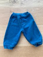 Pantalon de training bleu Pure Basic, Gebruikt, Jongetje, Pure Basic, Broekje