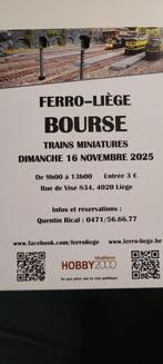 Uitwisseling van modeltreinen FERRO-LIEGE op 16/11/2025, Overige merken, Gelijkstroom of Wisselstroom, Overige typen, Ophalen of Verzenden