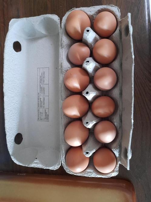 Scharreleieren te koop, Dieren en Toebehoren, Pluimvee