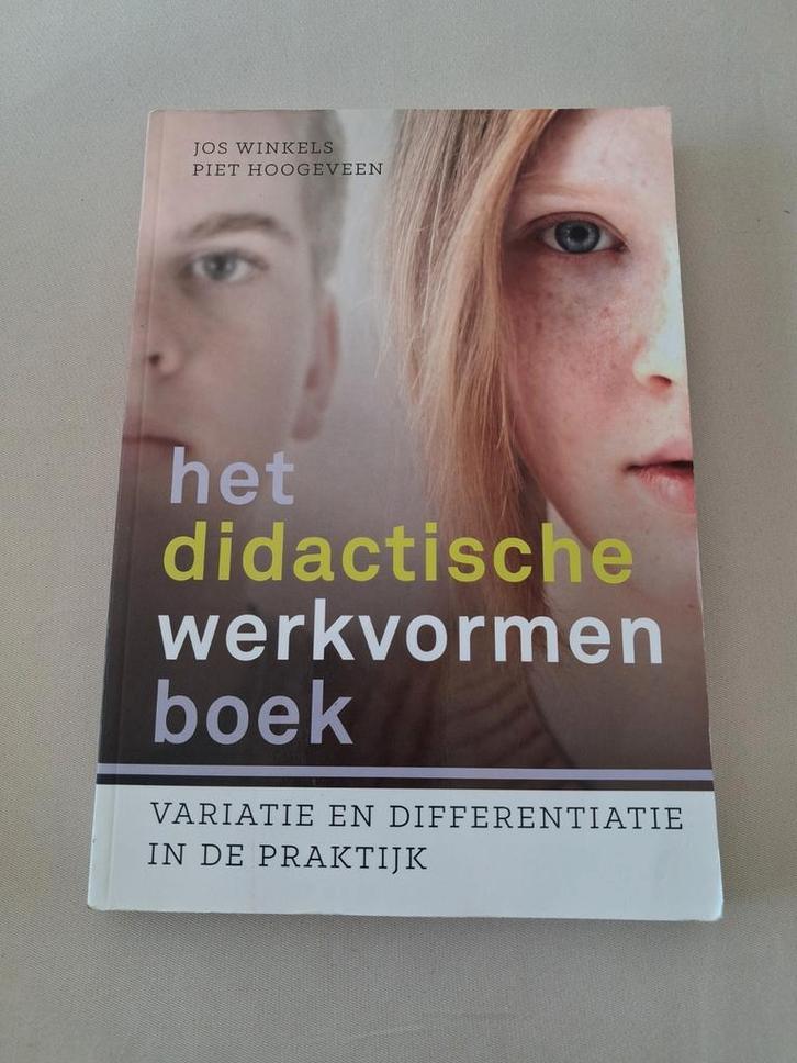 Piet Hoogeveen - Het didactische werkvormenboek, Boeken, Wetenschap, Zo goed als nieuw, Ophalen of Verzenden