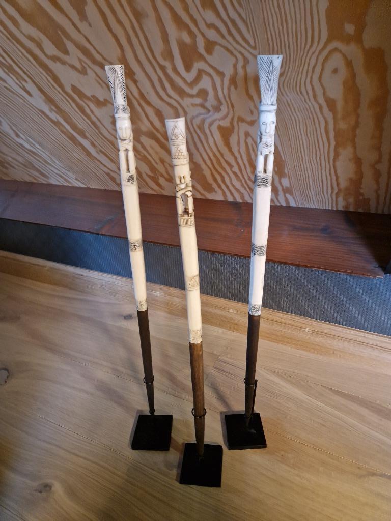 Indonesische batak spook, Enlèvement ou Envoi