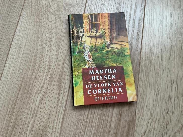 leesboek, Livres, Livres pour enfants | Jeunesse | 10 à 12 ans, Utilisé, Fiction, Enlèvement ou Envoi