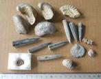 Lot de fossiles, Ophalen, Fossiel