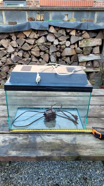 Petit aquarium avec pompe beschikbaar voor biedingen