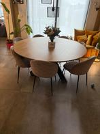 Eettafel en stoelen te koop, Huis en Inrichting, Tafels | Eettafels, Ophalen, Gebruikt, 150 tot 200 cm, Vijf personen of meer