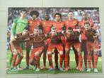 Poster rode duivels Brazil 2014, Verzamelen, Verzenden, Gebruikt