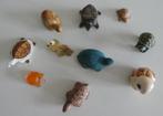 Collectie 10 kleine schildpadden, Ophalen of Verzenden, Gebruikt, Reptiel of Amfibie, Overige typen