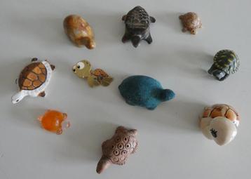 Collectie 10 kleine schildpadden beschikbaar voor biedingen