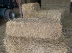 Kleine balen stro & hooi, Dieren en Toebehoren, Dierenvoeding, Ophalen
