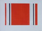 LUC PEIRE / GEOMETRISCHE ABSTRACTIE / KLEURETS / 57x76cm SIG, Antiek en Kunst, Kunst | Litho's en Zeefdrukken, Ophalen of Verzenden