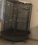 Cage en coin  pour perroquets , peruche ou autre, Animaux & Accessoires, Comme neuf, Enlèvement ou Envoi