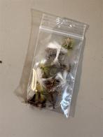 WULFF Droge Vliegvissen, Watersport en Boten, Ophalen of Verzenden, Nieuw