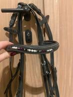 Hoofdstel (2st), Dieren en Toebehoren, Ophalen, Zo goed als nieuw