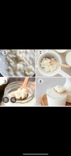 Youchert bloemmetjes of kefir, Diversen, Ophalen