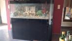 AQUARIUM MET KAST EN TOEBEHOREN GRATIS, Dieren en Toebehoren, Ophalen, Gebruikt, Sierelement