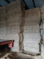 paille de froment, Animaux & Accessoires, Nourriture pour Animaux, Enlèvement, Autres espèces