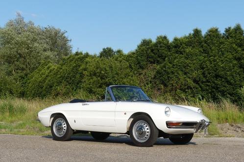1966 Alfa Romeo Spider 1600 Duetto, Auto's, Alfa Romeo, Bedrijf, Te koop, Spider, Benzine, Cabriolet, Handgeschakeld, Wit, Overige kleuren
