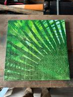 Fotoschilderij met bladeren van planten, Antiek en Kunst, Ophalen