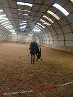 Ponys doorrijden, Dieren en Toebehoren, Ophalen