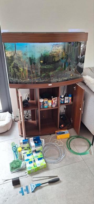 Aquarium Juwel + vissen + accessoires beschikbaar voor biedingen
