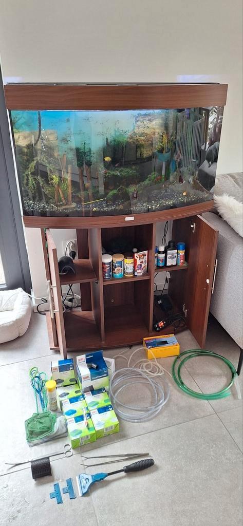 Aquarium Juwel + vissen + accessoires, Dieren en Toebehoren, Vissen | Aquaria en Toebehoren, Zo goed als nieuw, Ophalen