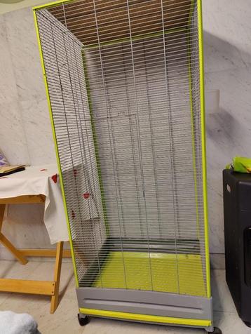 grote vogelkooi  beschikbaar voor biedingen