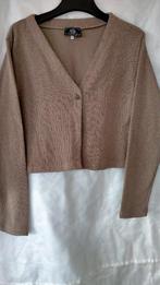 Lichte,korte gebreide damesgilet,taupe,maat:42., Overige kleuren, Down to Earth, Maat 42/44 (L), Ophalen of Verzenden