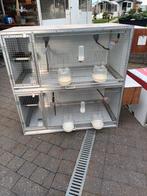 Kweekkooi parkieten, Dieren en Toebehoren, Ophalen, Zo goed als nieuw