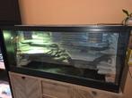 Terrarium, Dieren en Toebehoren, Ophalen, Zo goed als nieuw, Terrarium of Paludarium