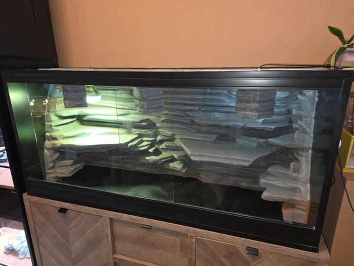 Terrarium, Dieren en Toebehoren, Reptielen en Amfibieën | Toebehoren, Zo goed als nieuw, Terrarium of Paludarium, Ophalen
